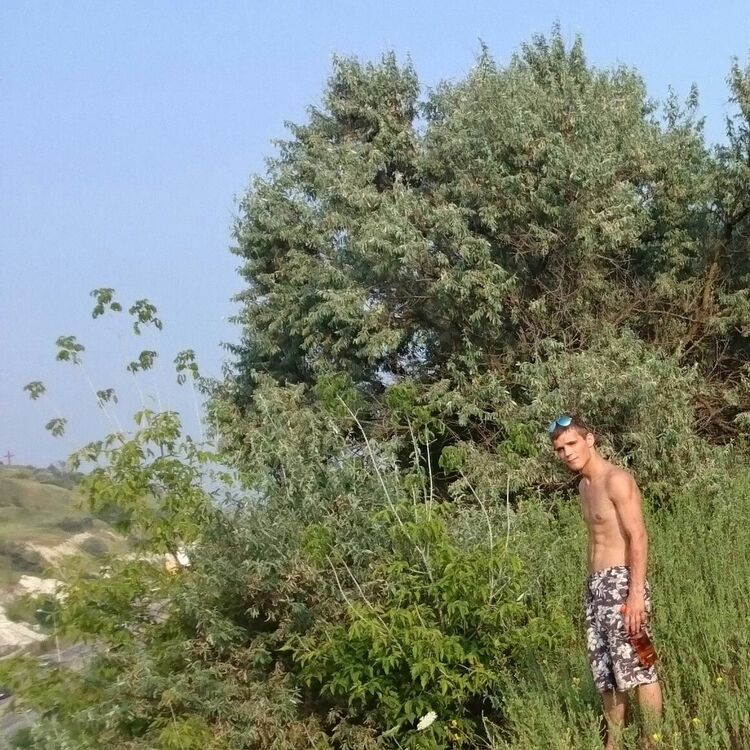 ���� 7874320 ������� �����, 34 ����, ���� ���������� � ���������