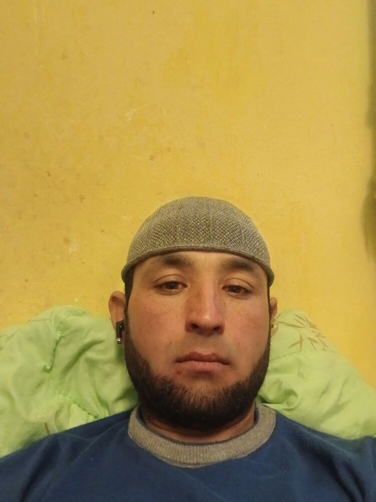  50396660  , 38 ,    