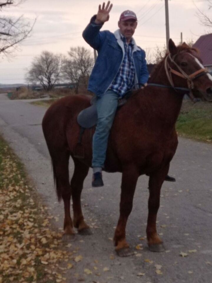 ���� 55428750 ������� ���������, 51 ���, ���� ���������� � ����������