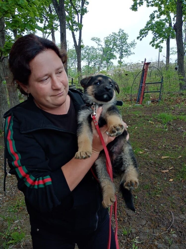 ���� 54824100 ������� �����, 37 ���, ���� ���������� � ������������