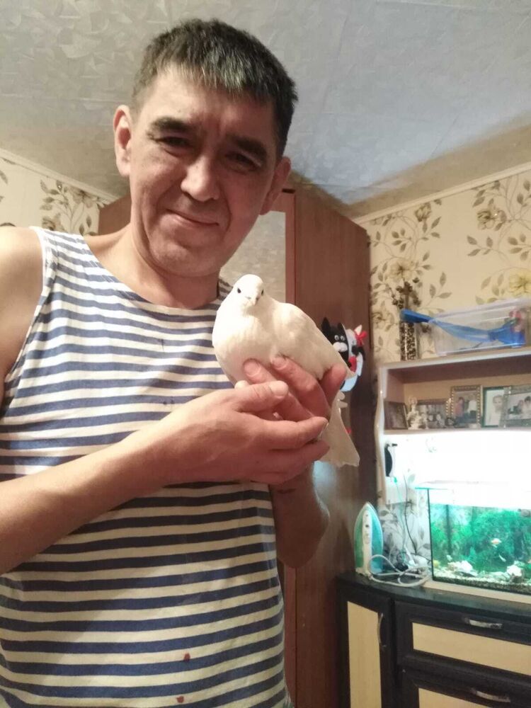   ,   , 51 ,   ,   , 