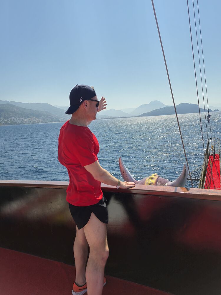 ���� 52774640 ������� �������, 39 ���, ���� ���������� � ������ ������