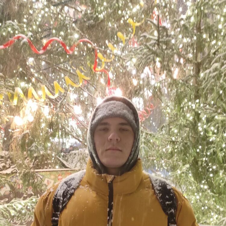  25012050  , 21 ,    -