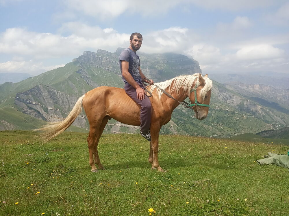 ���� 54492640 ������� ������������, 36 ���, ���� ���������� � ���������