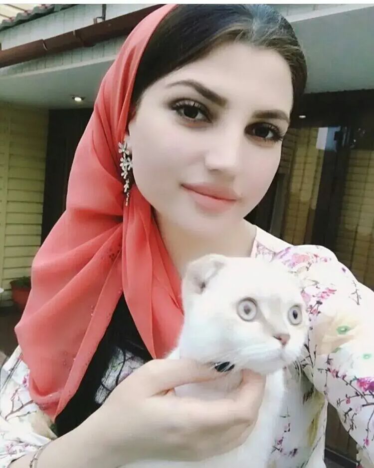 ���� 55602320 ������� ������, 28 ���, ���� ���������� � ������