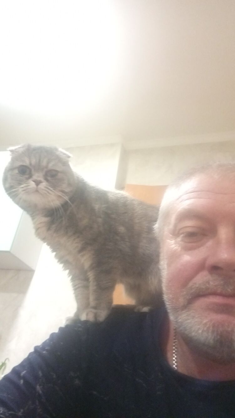  ,   , 57 ,   ,   