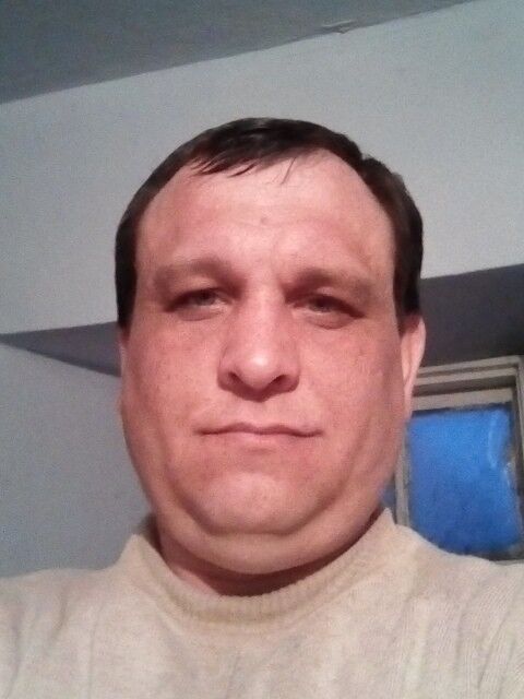  ,   , 41 ,     , c 