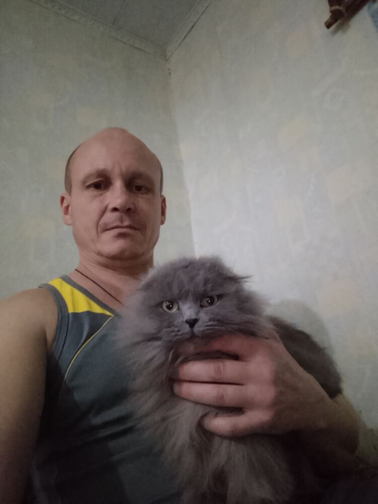 ���������� �������, ���� ������� ������, 42 ����, ������������ ��� ������, ����� � ���������, c�������� ���������, ���������