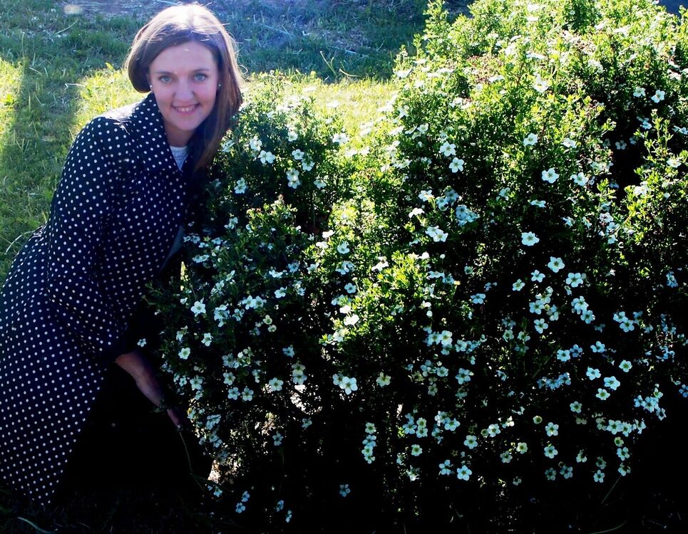 ���������� ������, ���� ������� ��������, 38 ���, ������������ ��� ����� � ���������, c�������� ���������