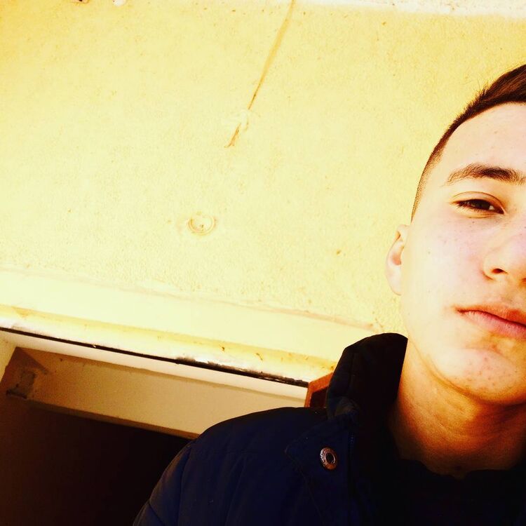 ���������� ���������, ���� ����� Dilish, 24 ����, ������������ ��� ������, ����� � ���������, c�������� ���������, ���������