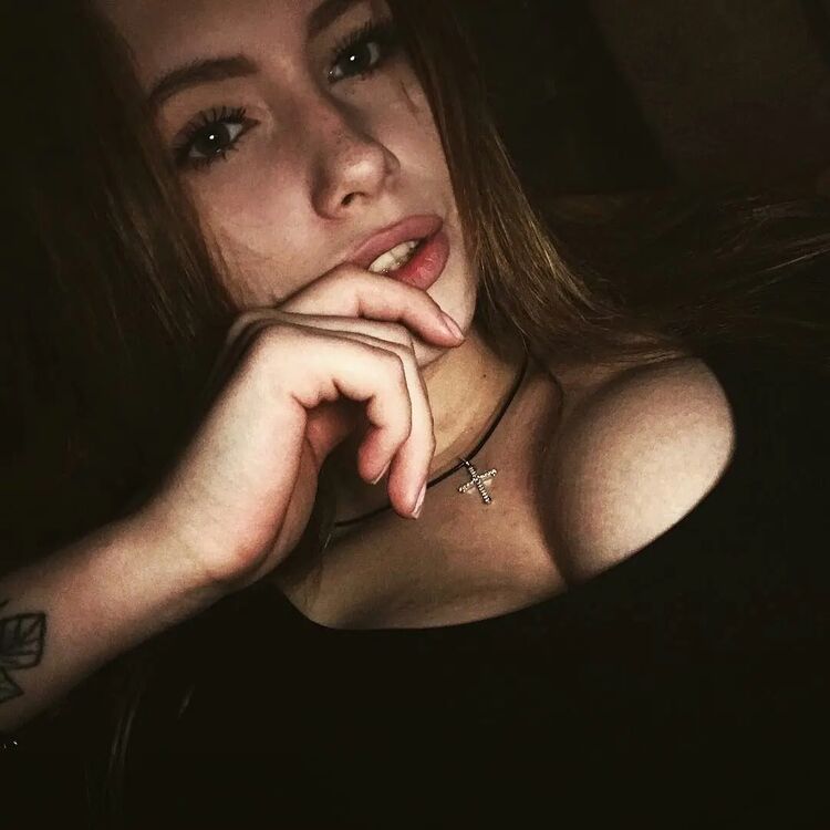  45088820  , 24 ,    