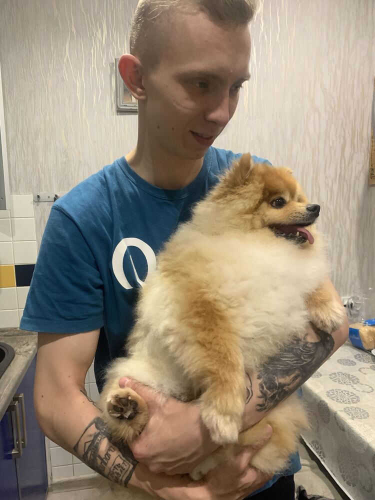 ���������� ������, ���� ����� ����, 24 ����, ������������ ��� ������, ����� � ���������