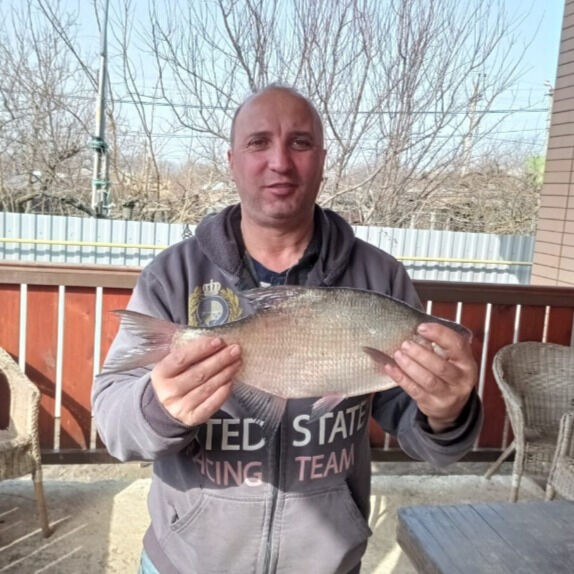  --,   , 49 ,   ,   