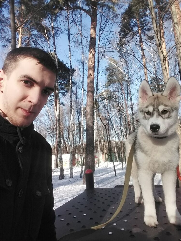 ���� 28069710 ������� ���������, 29 ���, ���� ���������� � ������������