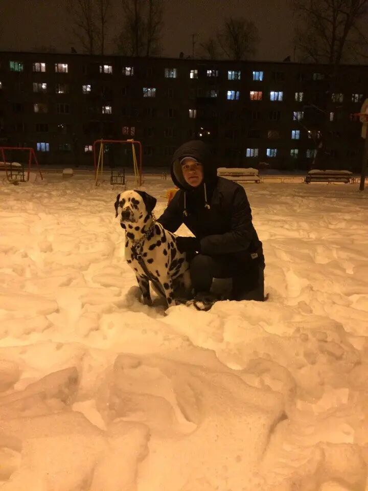 ���������� �����, ���� ������� Tgftgf, 30 ���, ������������ ��� ������, ����� � ���������