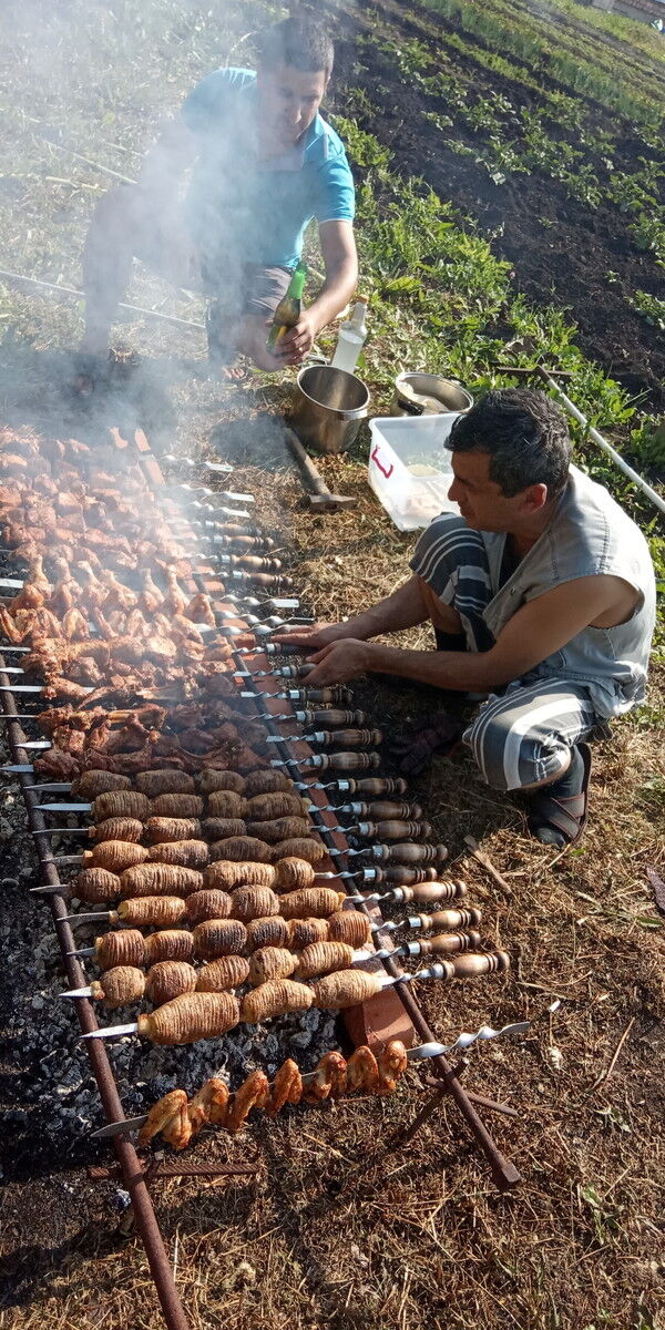 ���������� ���, ���� ������� �����, 49 ���, ������������ ��� ������, ����� � ���������, c�������� ���������