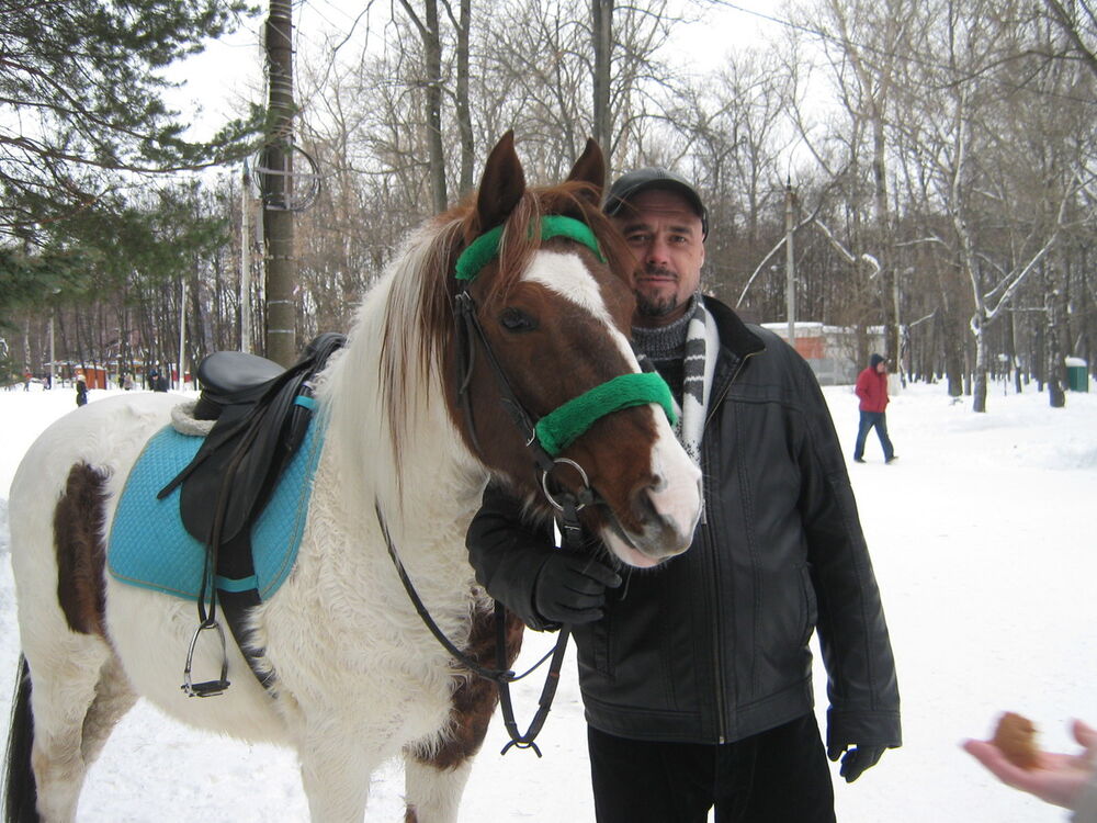 ���� 6179010 ������� �����310, 51 ���, ���� ���������� � ������ ���������