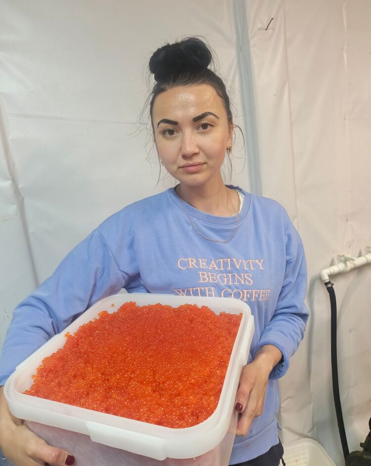 ���������� ���������, ���� ������� ���������, 40 ���, ������������ ��� ������, ����� � ���������