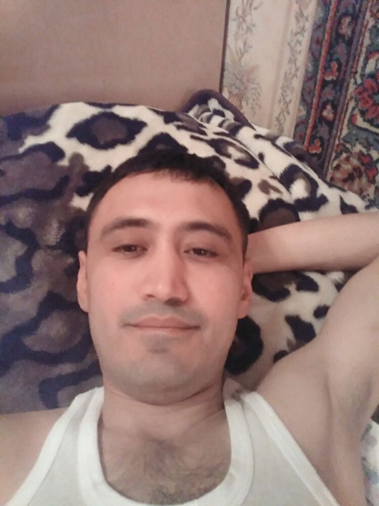  18335660  , 41 ,    