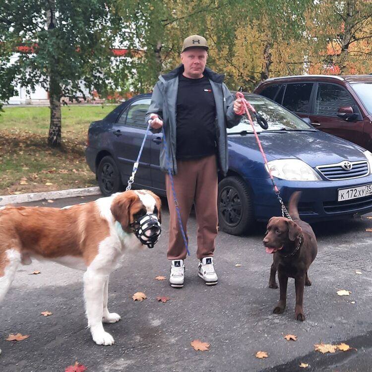 ���������� �������, ���� ������� �������, 43 ����, ������������ ��� ������, ����� � ���������, c�������� ���������