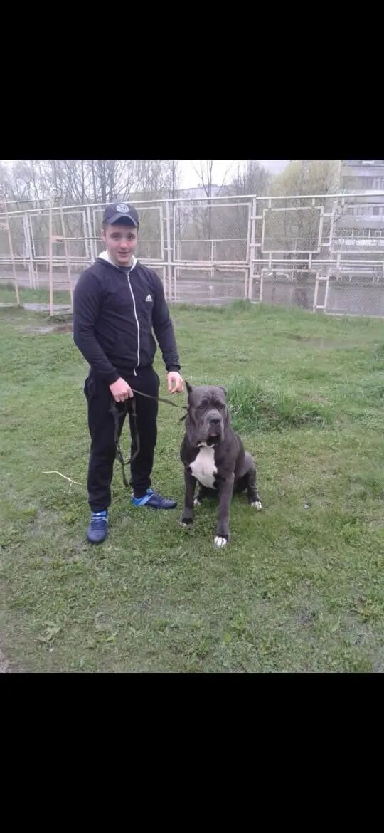 ���� 43163660 ������� ������, 34 ����, ���� ���������� � �����-����������