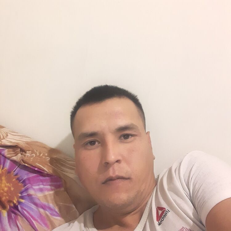 ���� 24166680 ������� ���, 36 ���, ���� ���������� � ������������