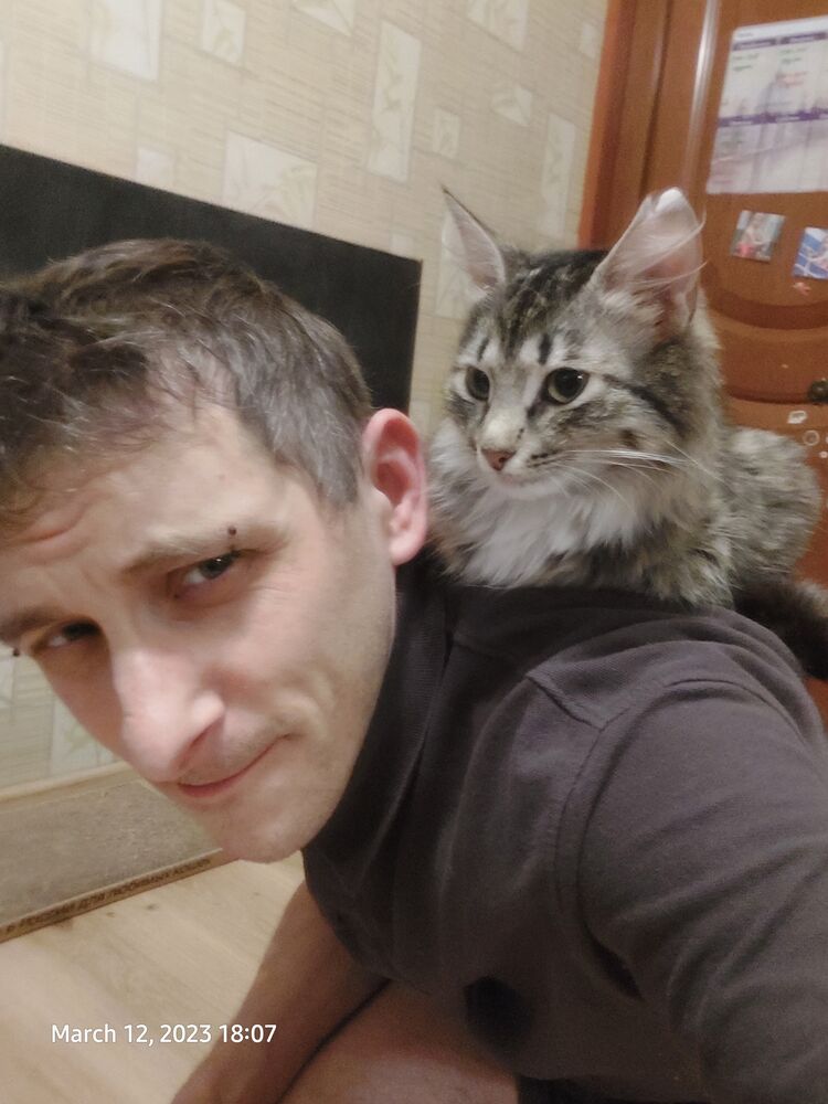  ,   , 37 ,   ,   
