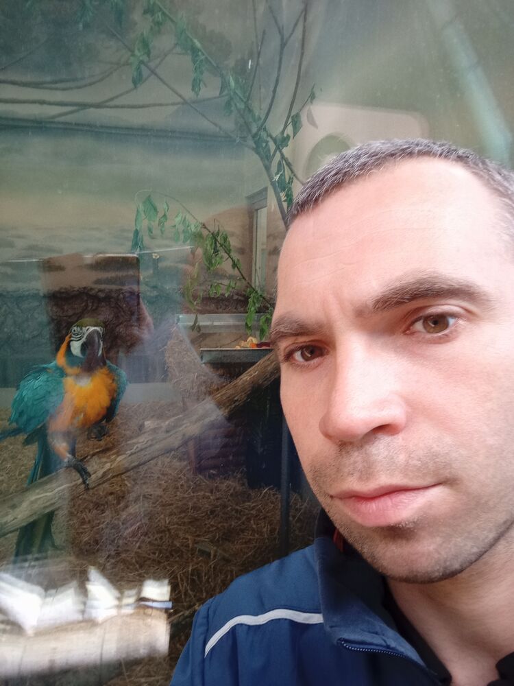  ,   , 33 ,     , c , 