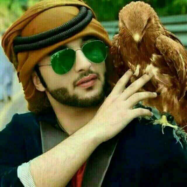 ���� 47398620 ����� Ergashev, 22 ����, ���� ���������� � ��������