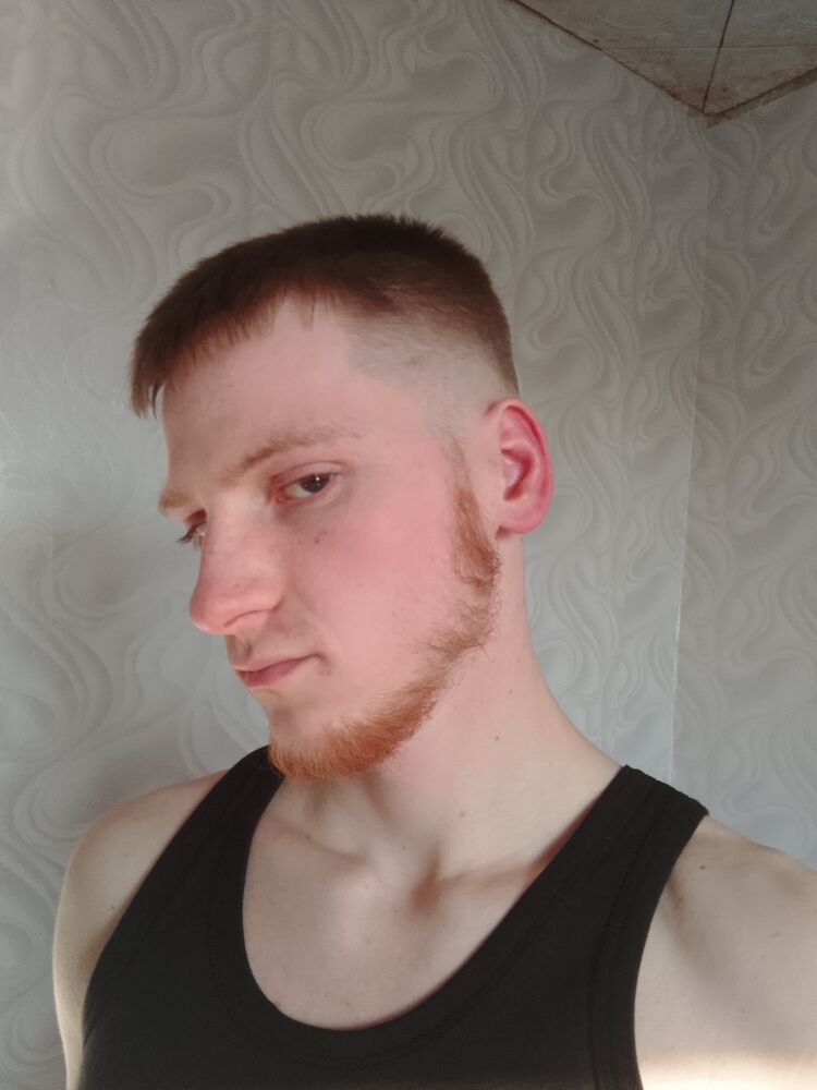  44166910  , 21 ,     