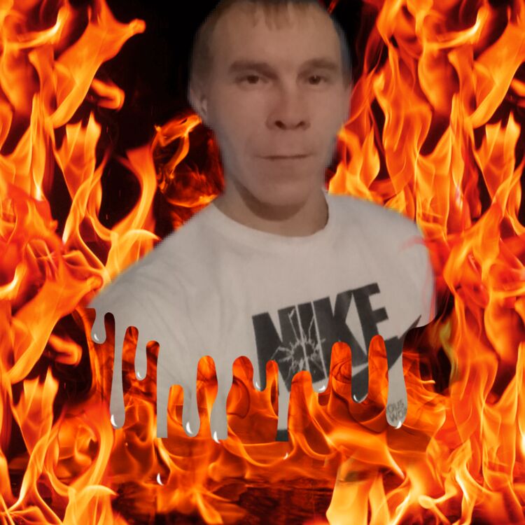  24929110  , 40 ,    -