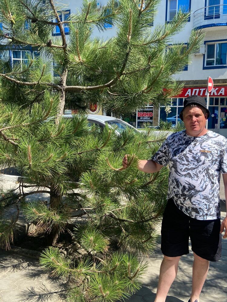 ���������� ���������� �����, ���� ������� ����, 50 ���, ������������ ��� c�������� ���������