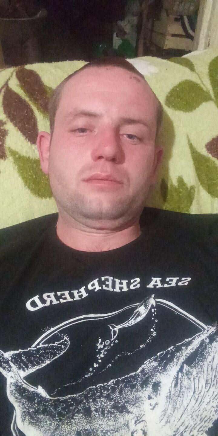  31326340  , 34 ,    