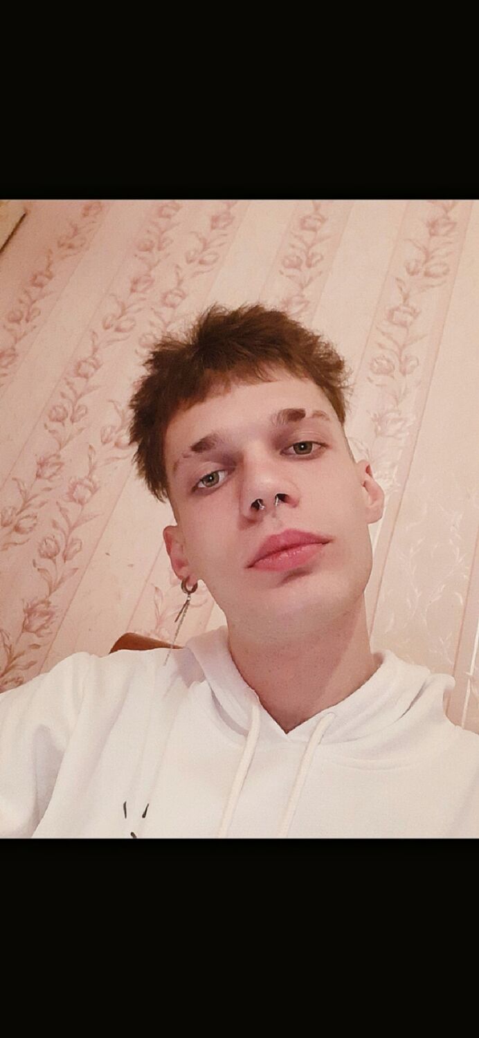  29240680  , 23 ,    -