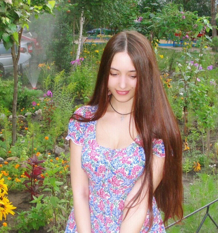  23815130  Nifertity, 24 ,    