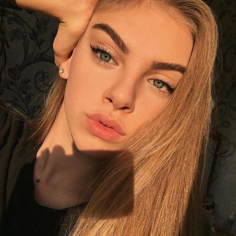  24812530  , 25 ,    