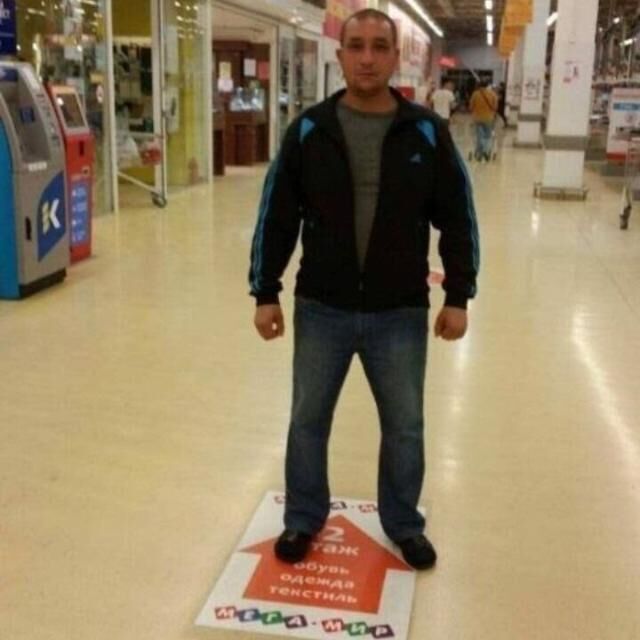 ���� 43428020 ������� �����, 49 ���, ���� ���������� � ����������