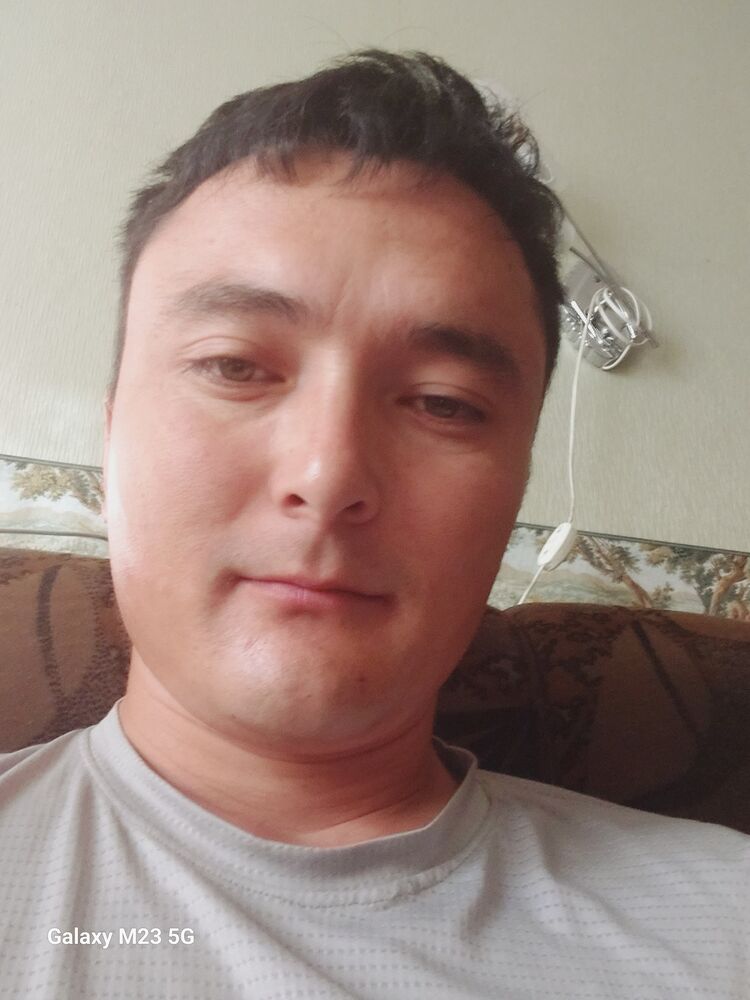  33637040  , 33 ,    