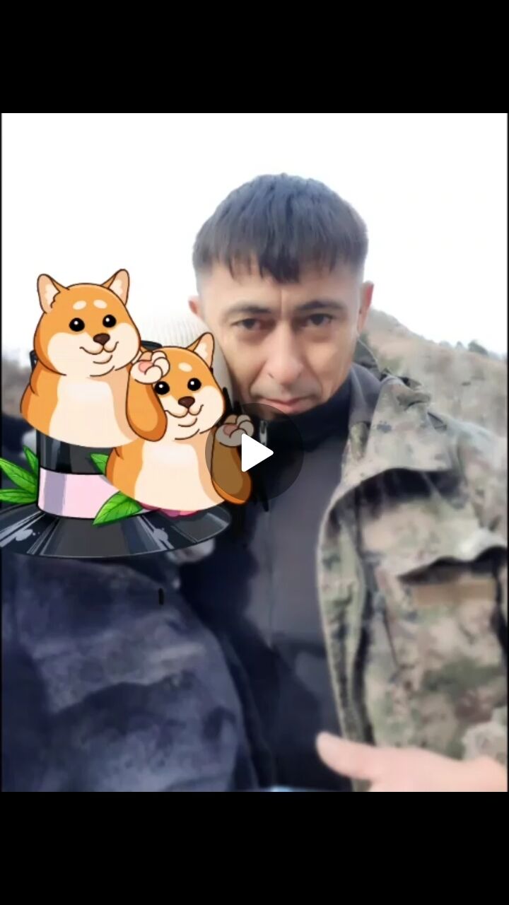 ���� 25344930 ������� �����, 49 ���, ���� ���������� � ������������