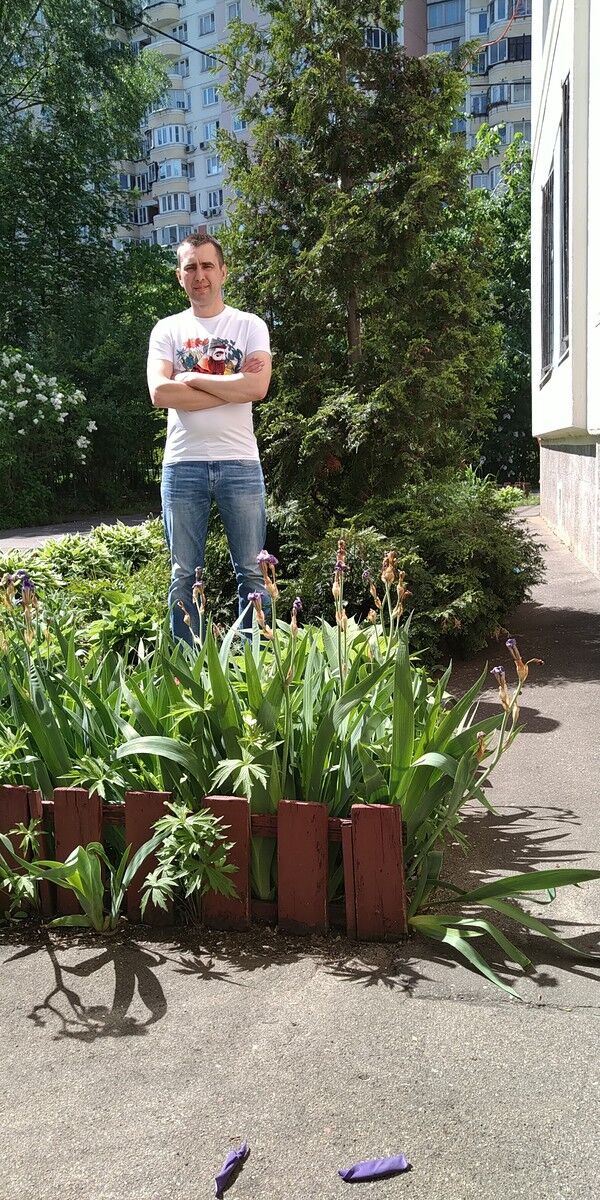 ���������� ������, ���� ������� ����, 42 ����, ������������ ��� ����� � ���������, c�������� ���������