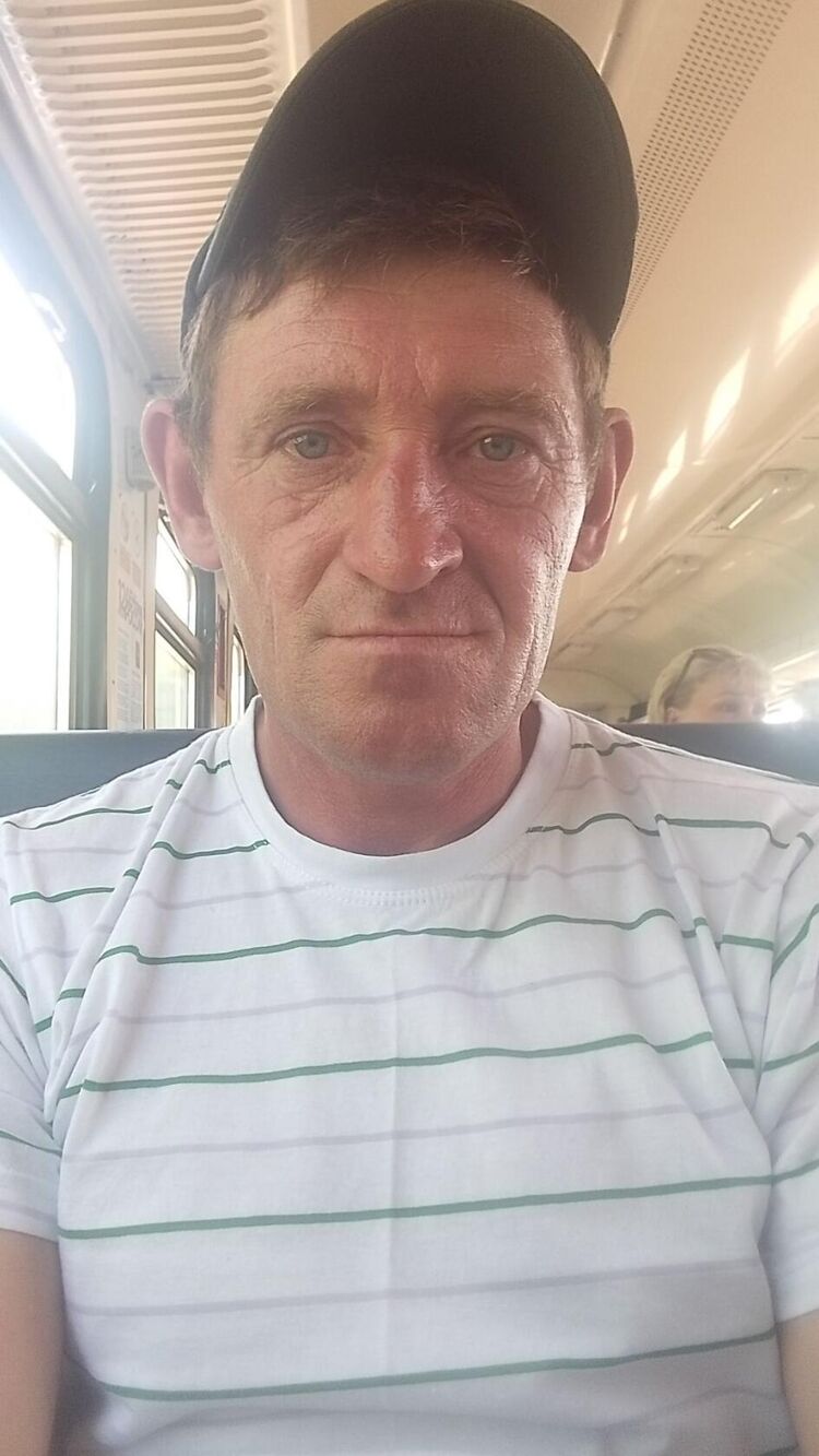  49231550  , 43 ,    