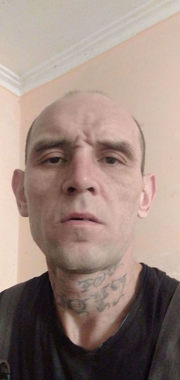  43420880  , 41 ,    