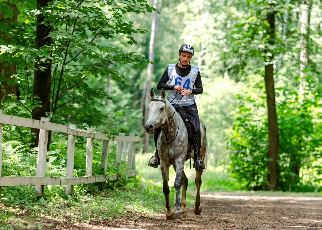 ���������� �����-���������, ���� ����� ����, 22 ����, ������������ ��� ������, ����� � ���������