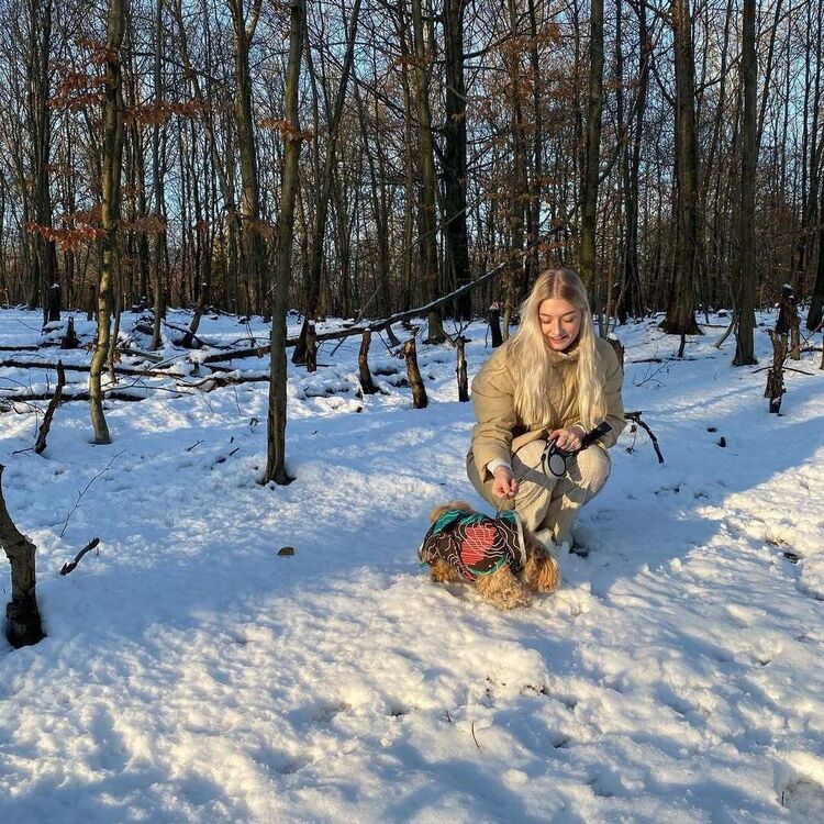 ���� 54950040 ������� �������, 29 ���, ���� ���������� � �����-����������