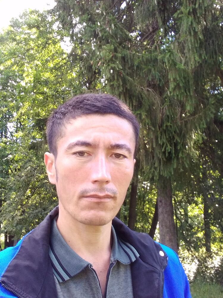  29024860  , 36 ,    -