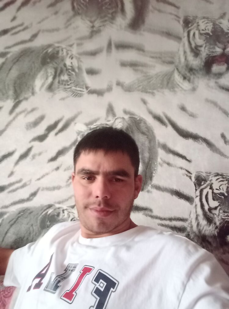 ���� 48191510 ������� �������, 34 ����, ���� ���������� � ������