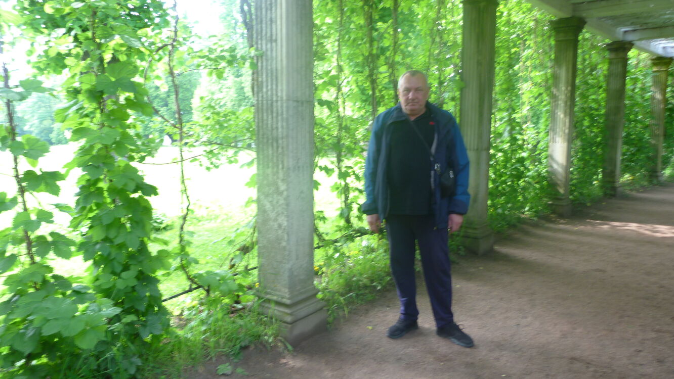  -,    , 56 ,   ,   