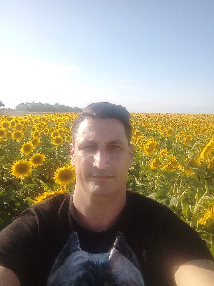  45031850  , 38 ,    