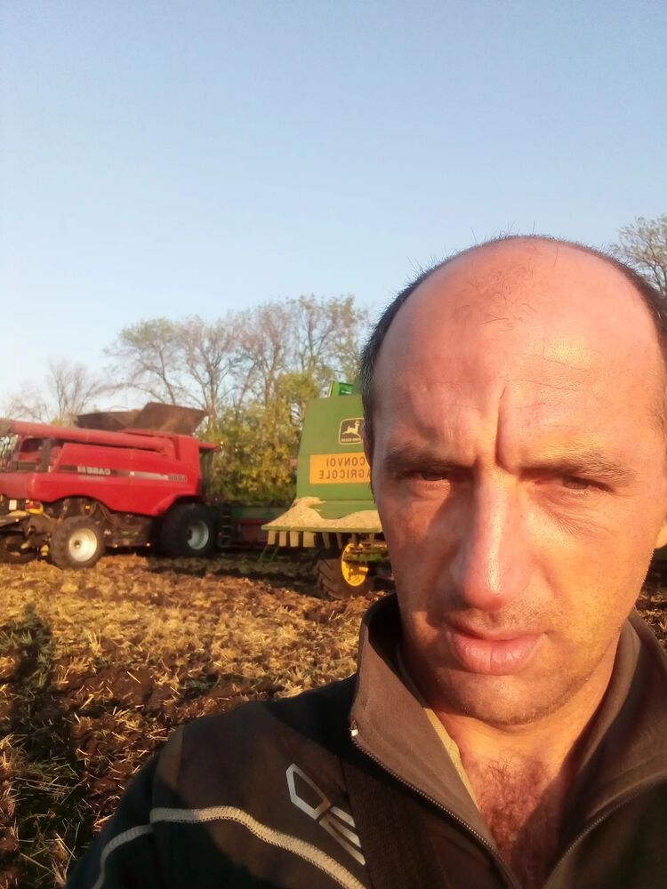 29822240  , 36 ,    