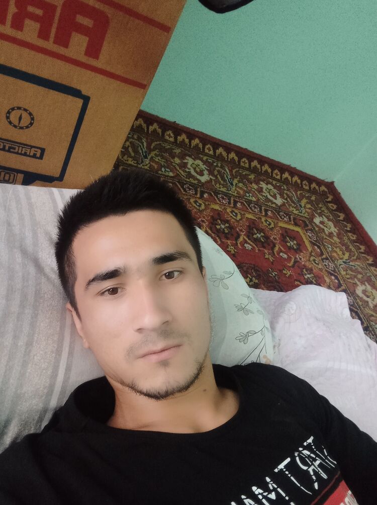  32729230  , 24 ,    